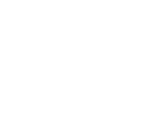 Die Übergabe des Gutscheins findet in Kürze statt!